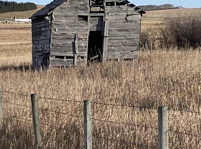 An old barn in the middle of a field.