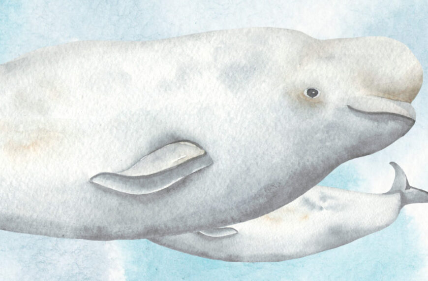 A watercolor painting of two whales in the sky.
