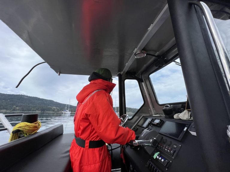Braving the Seas