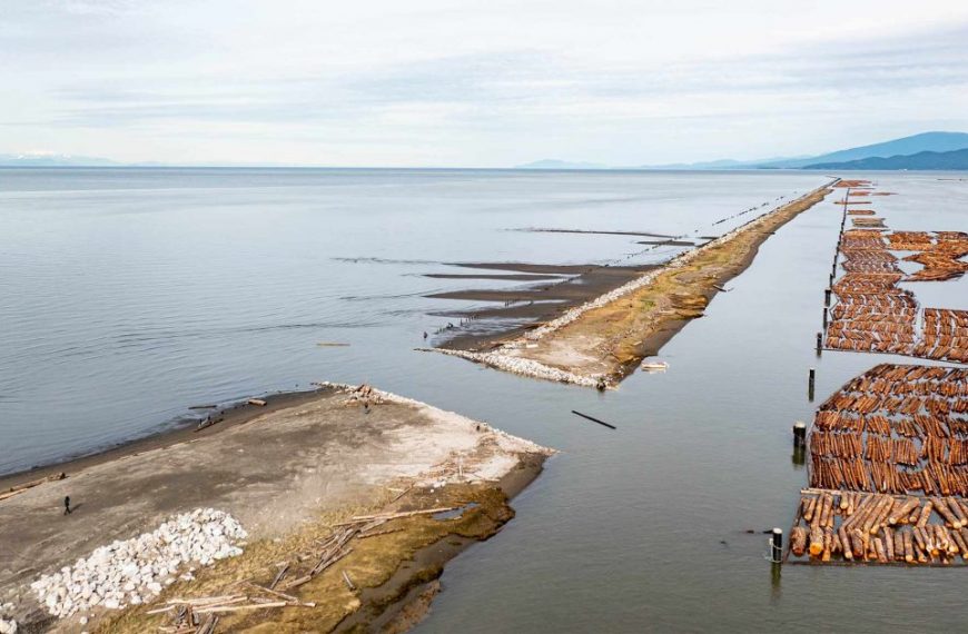 An aerial view of a large group of logs in the water.