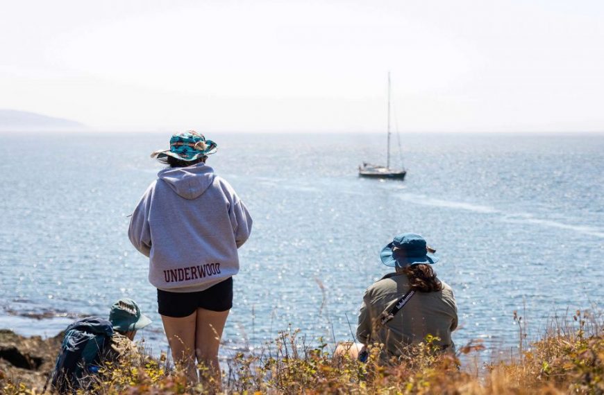 A group of people standing on a hill overlooking a body of water.