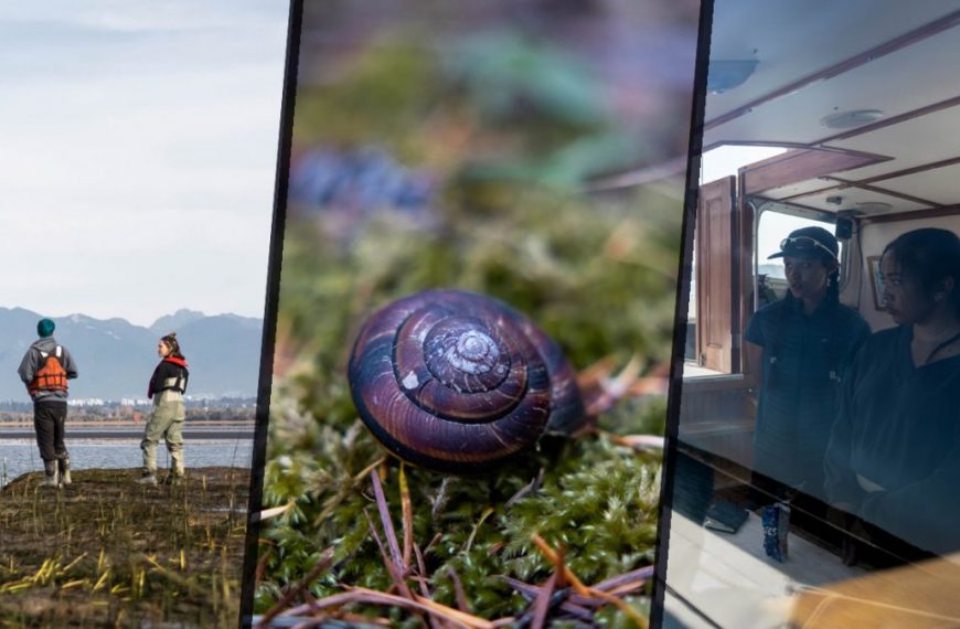 A group of people on a boat looking at a snail.