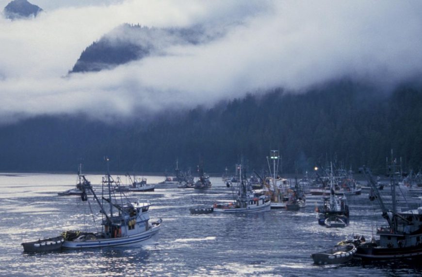 A group of fishing boats in a body of water with mountains in the background.