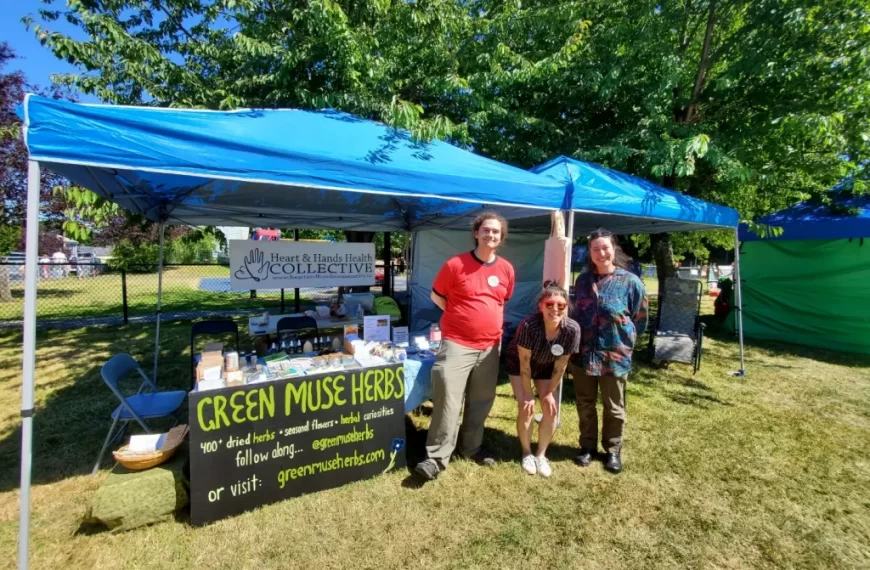 Three people standing under a tent with a green moss box.