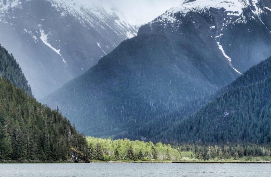 A lake with snowy mountains in the background.