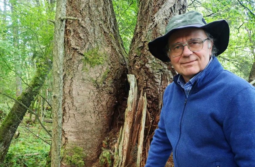 A man in a hat standing next to a tree.
