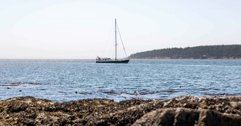 Tsawwassen First Nation Summer Stewardship Program Assistant