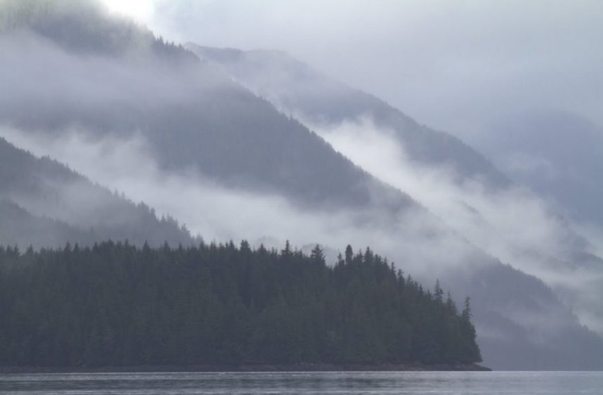 Clouds over a body of water with trees in the background.