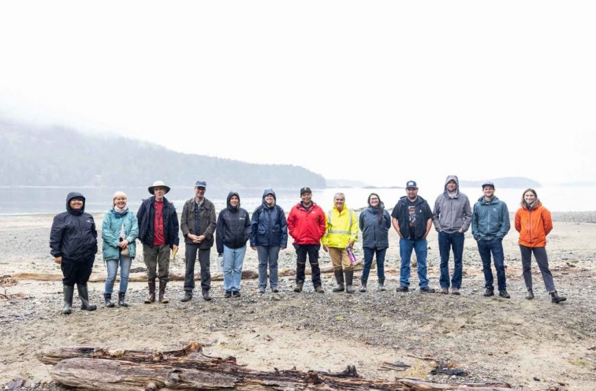 A group of people standing on a beach.