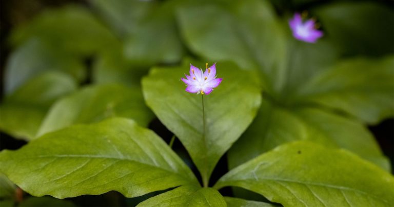 Raincoast welcomes new team members to join our team for the summer!