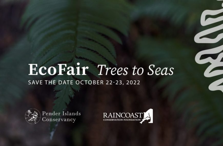 Ecofair trees to save the planet to seas.