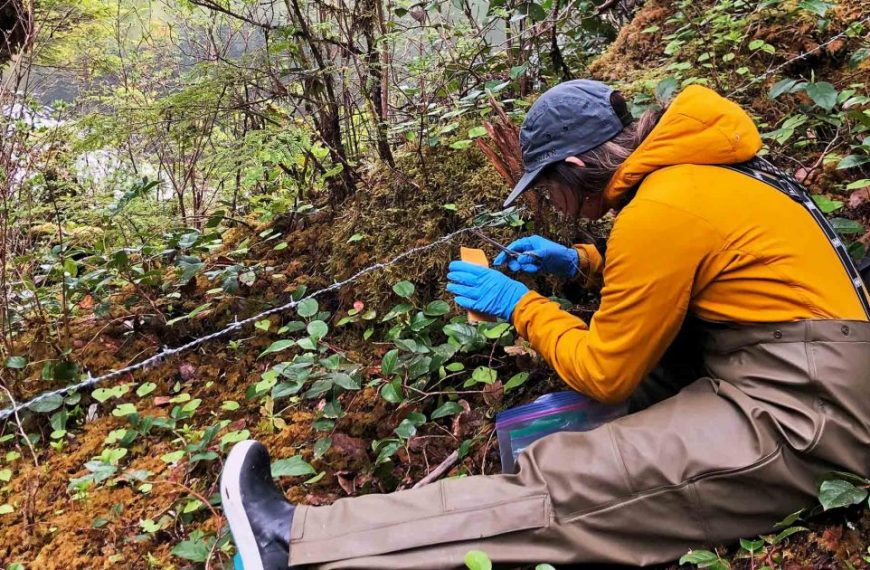 A man in a yellow jacket is kneeling on the ground in a forest.