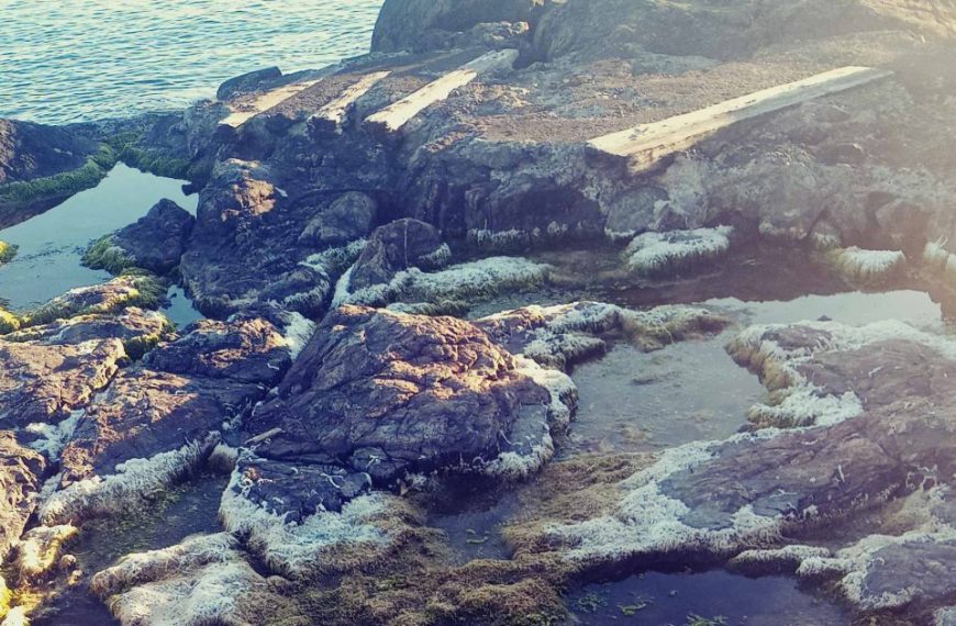 A view of the ocean from a rocky cliff.
