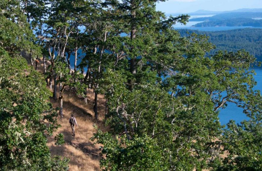 A group of hikers on a trail near a body of water.