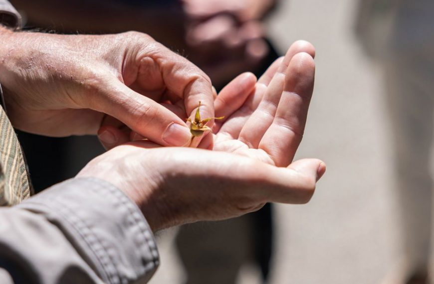 A man is holding a small piece of gold in his hand.