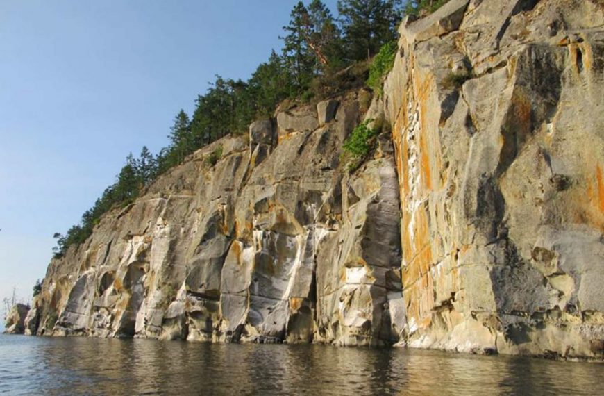 A rocky cliff with trees on the side of it.