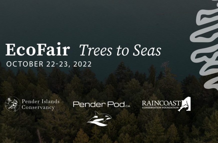 Ecofair trees to seas.