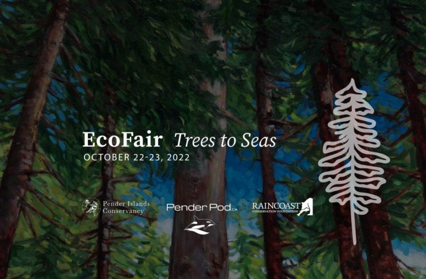 Ecofair - trees to seas.