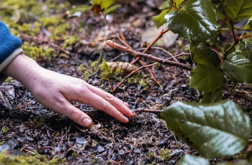 A child's hand reaching into a pile of dirt.