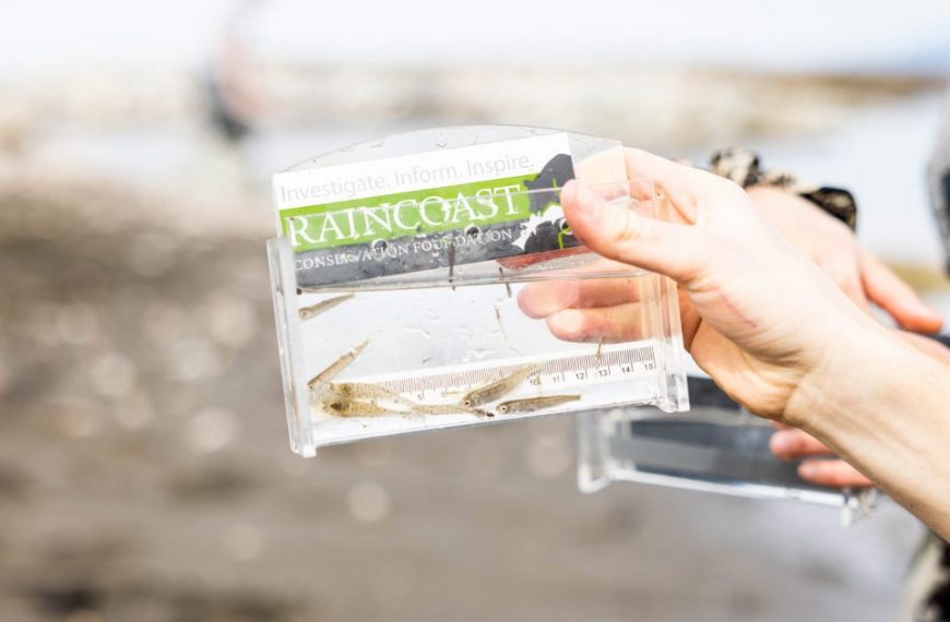 A person holding a plastic container with a fish in it.