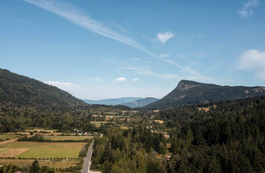 An aerial view of a valley with trees and mountains.