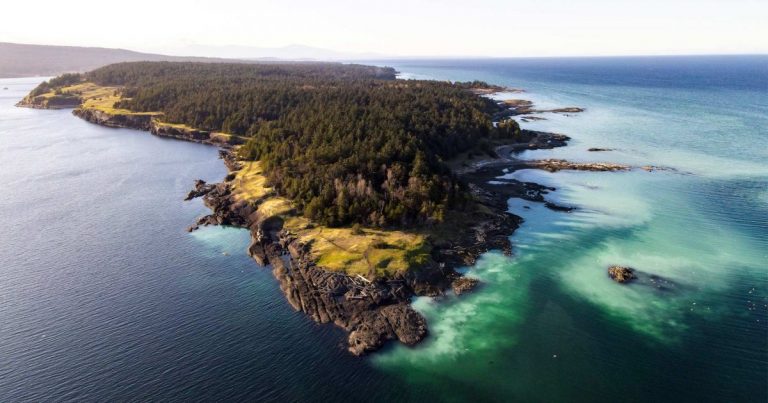 The story of Coastal Douglas-fir forests: The natural environment is why people come here