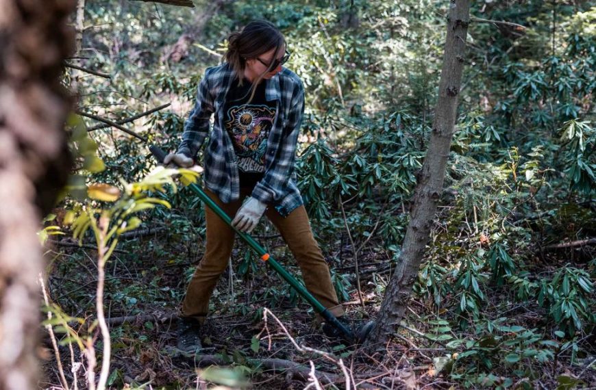 A woman with a shovel in the woods.