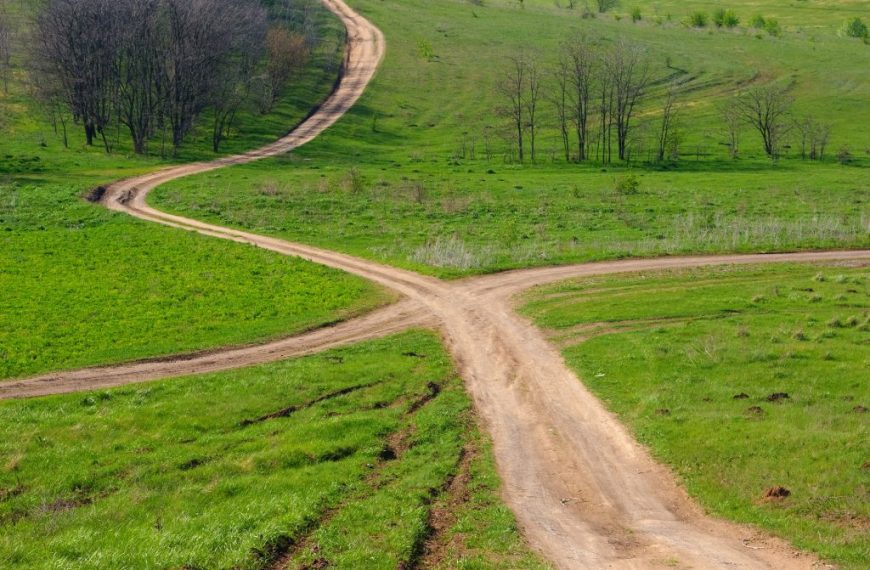 Two dirt roads in the middle of a green field.