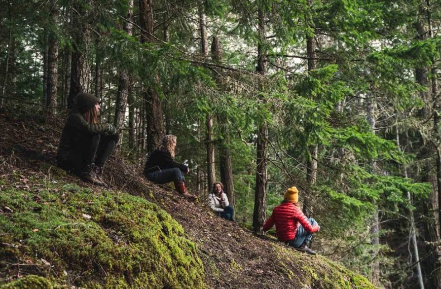 A group of people sitting on a mossy hillside.