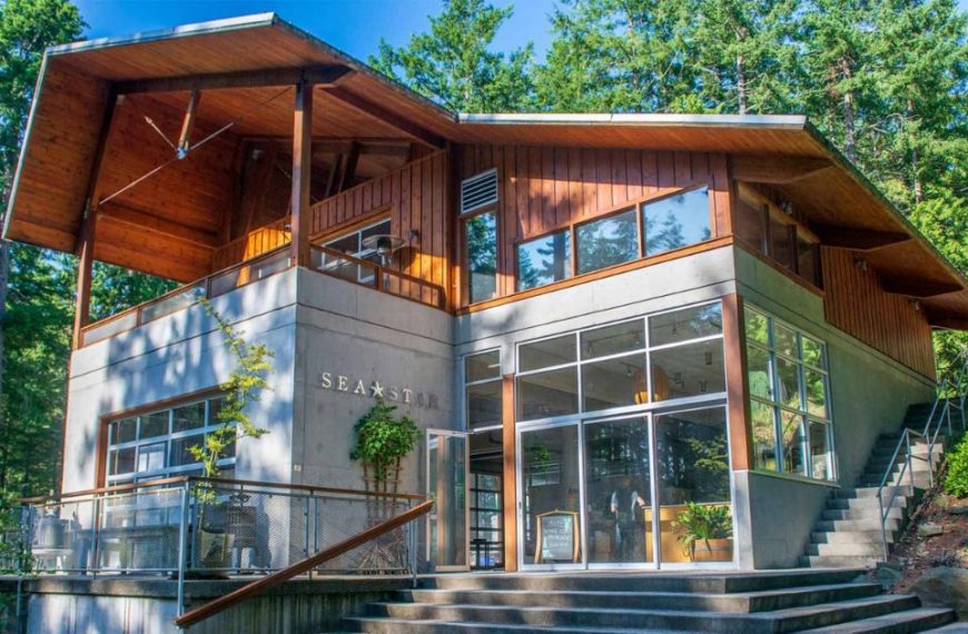 A modern house in the woods with stairs leading up to it.