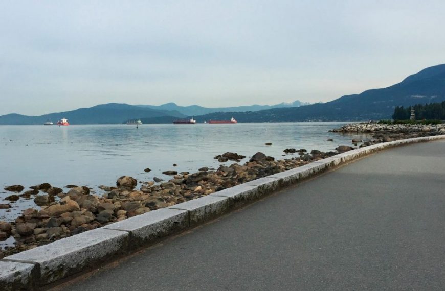 A rocky path next to a body of water.