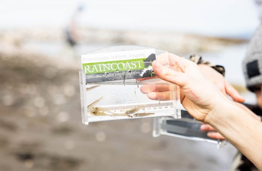 A man is holding up a plastic container with a fish in it.