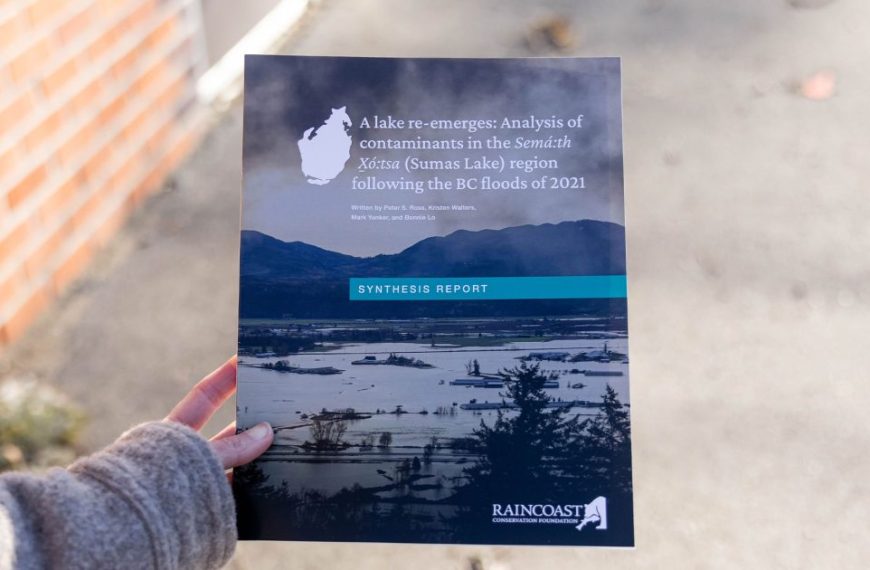 A person holding up a brochure with a picture of a city.