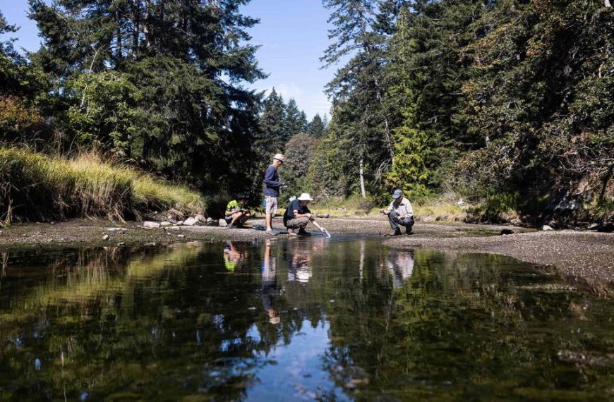 A group of people fishing in a stream.