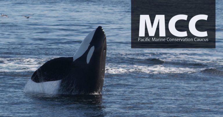 MCC Response to draft 2022/2023 Pacific Herring Food and Bait and Special Use Plans