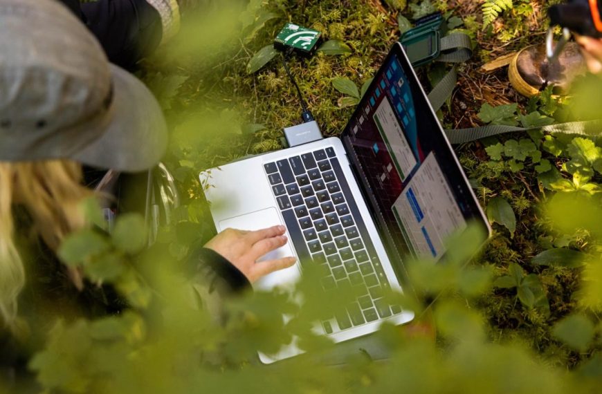 A woman using a laptop in the woods.