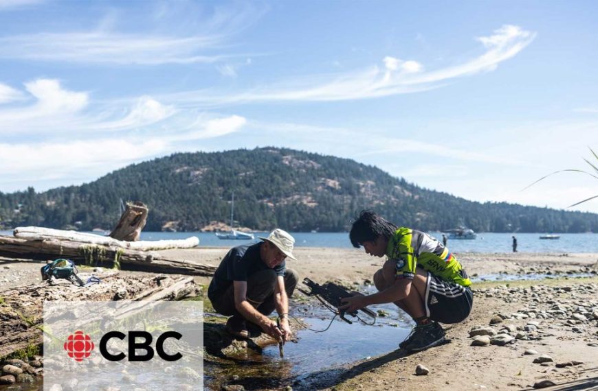 Two people are digging in the water near a body of water.