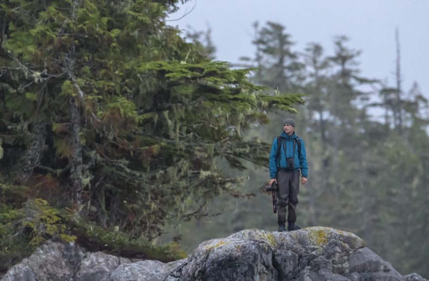 A person standing on a rock in the middle of a forest.