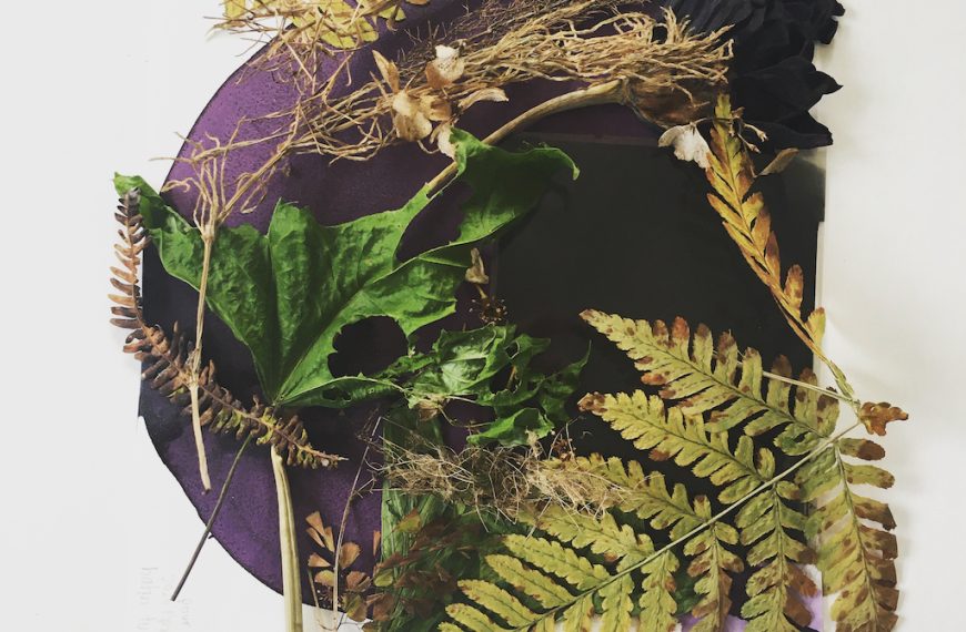 A piece of paper with ferns and leaves on it.