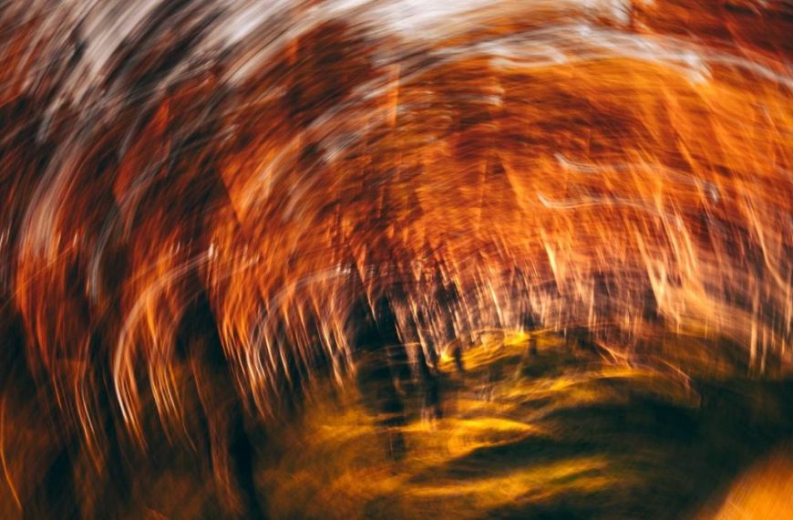 A blurry image of a forest in autumn.