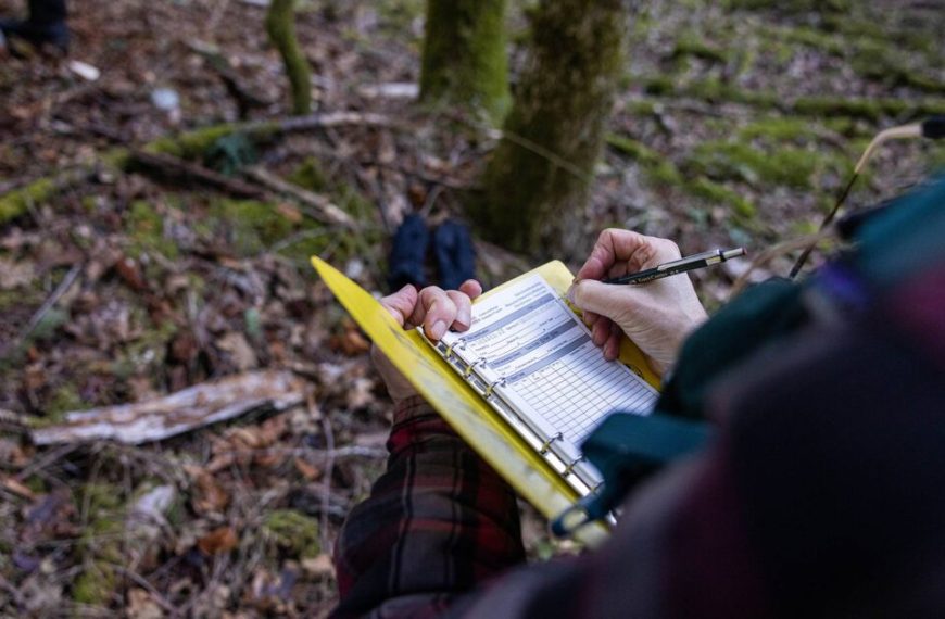 A person holding a clipboard in the woods.