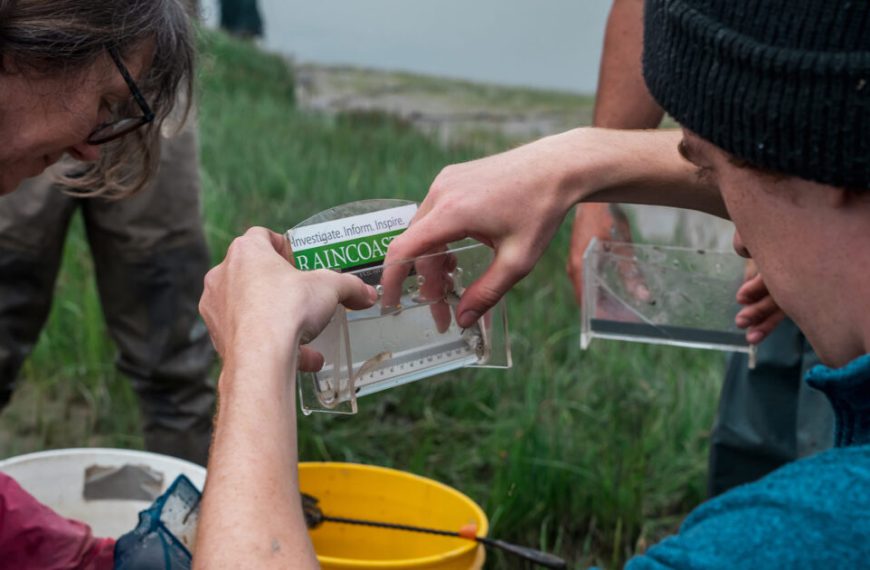 A group of people in a field with a bucket of water.