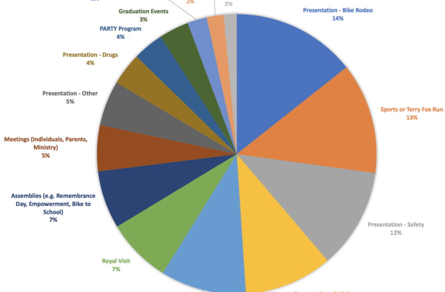 A pie chart showing the percentage of school documents in 2017.
