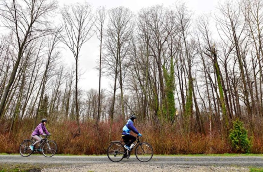 Two people riding bicycles on a dirt road in the woods.