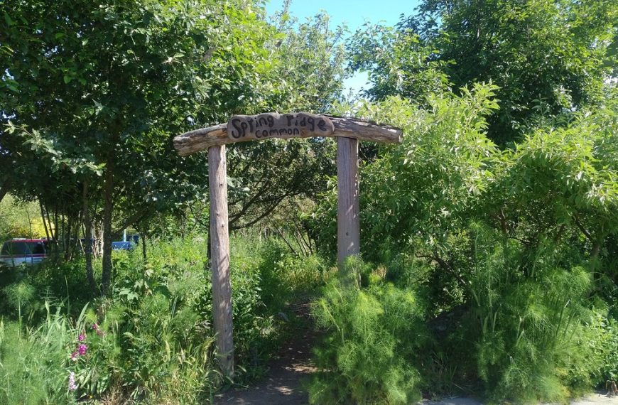 A wooden sign in the middle of a grassy area.