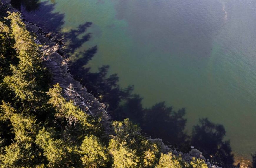 An aerial view of a lake surrounded by trees.