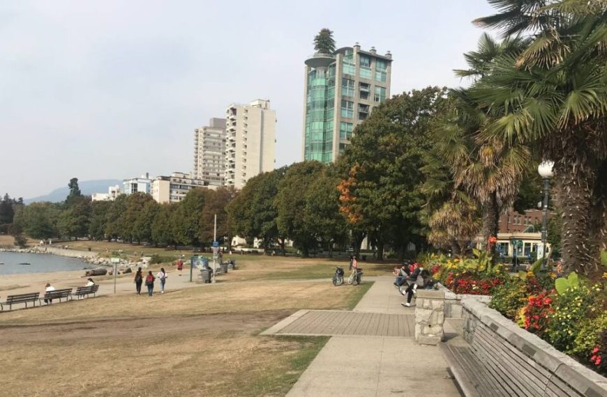 A park with palm trees and a lake in the background.