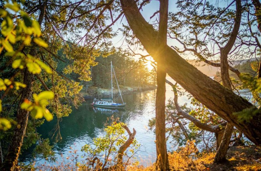 A sailboat is moored in a body of water surrounded by trees.