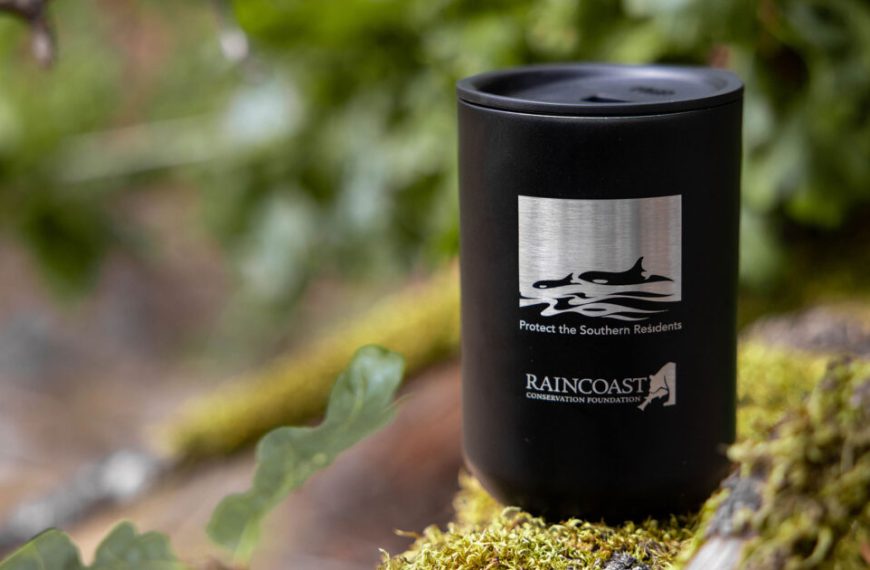 A black travel mug sits on top of a mossy tree.