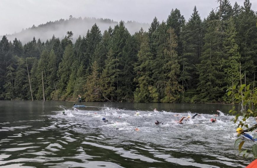 A group of people swimming in a lake with trees in the background.